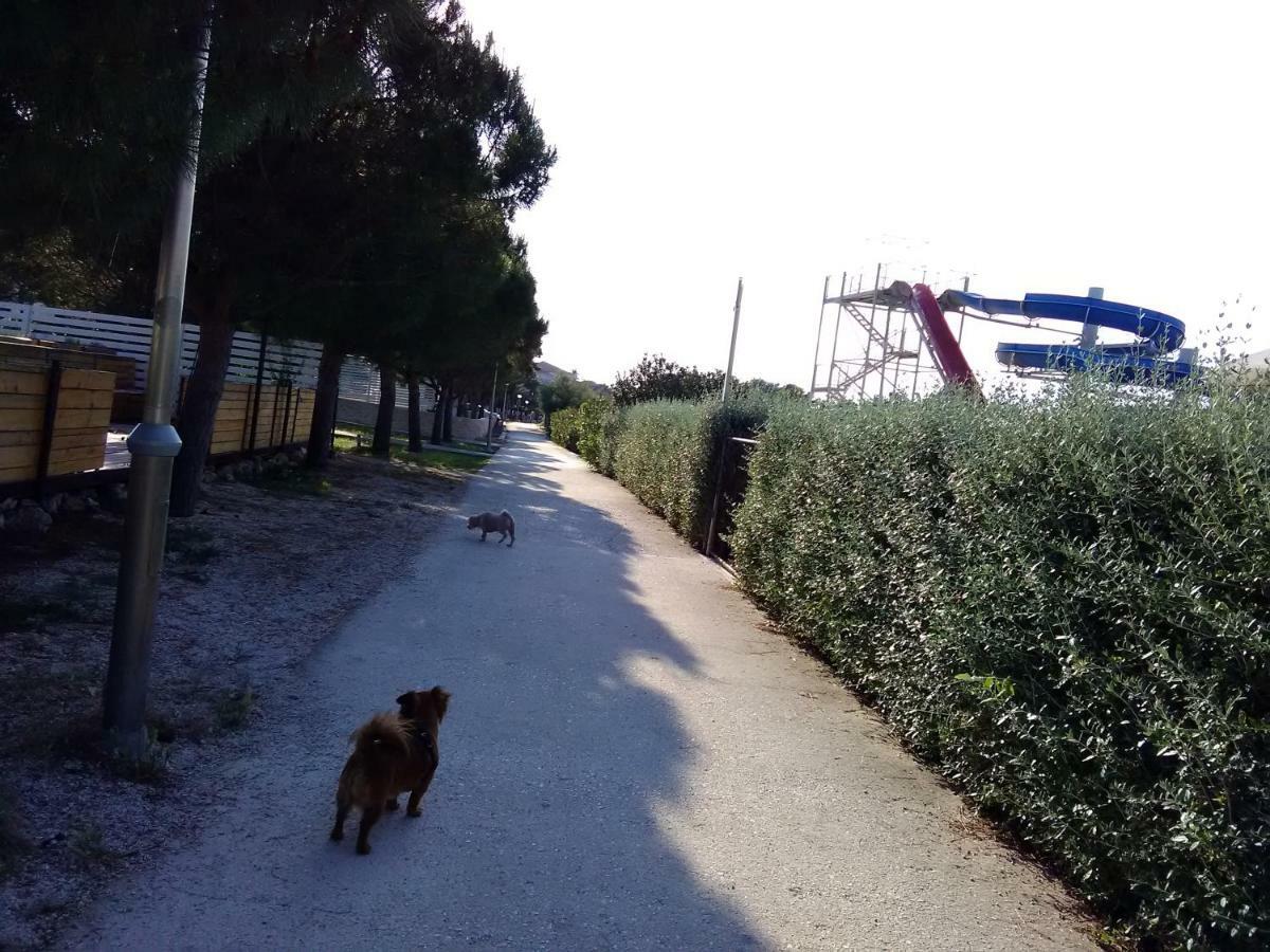 Apartmani Vesna סופטאר מראה חיצוני תמונה
